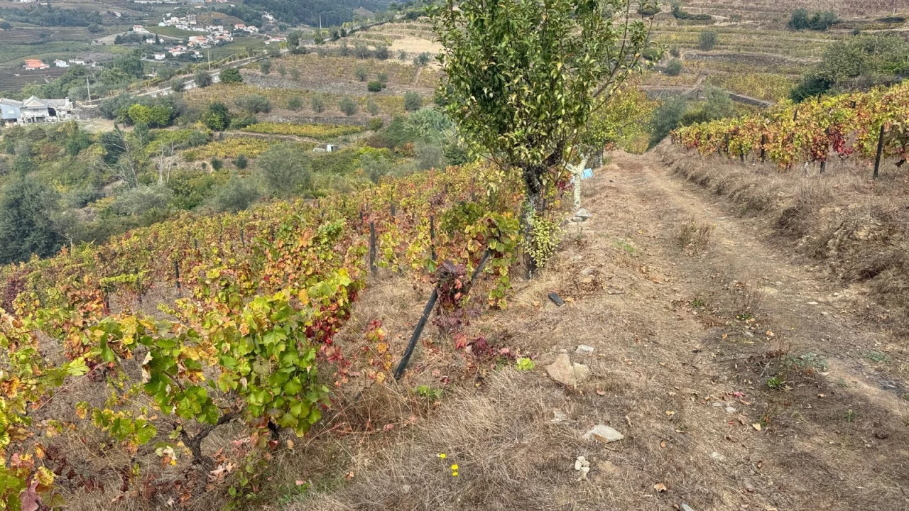 Quinta T2 para Venda em Moura Morta e Vinhós Foto 11
