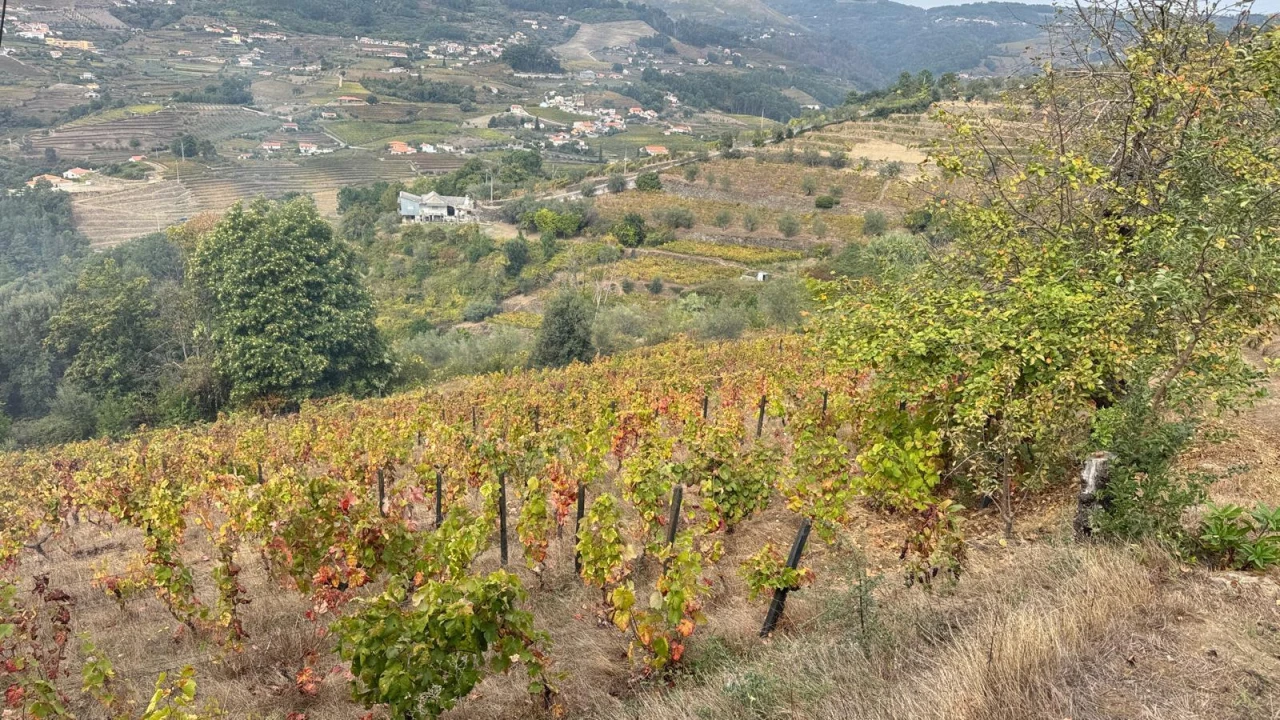 Quinta T2 para Venda em Moura Morta e Vinhós Foto 8