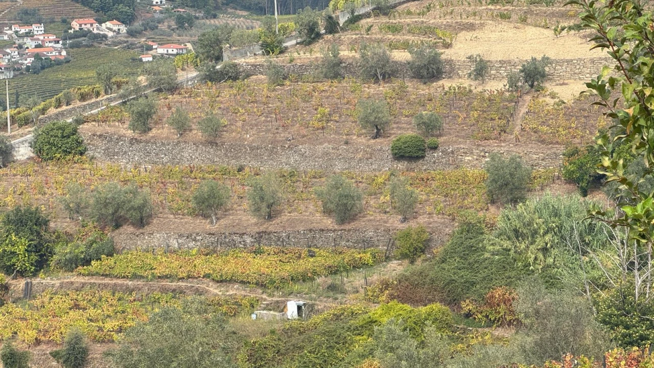 Quinta T2 para Venda em Moura Morta e Vinhós Foto 13