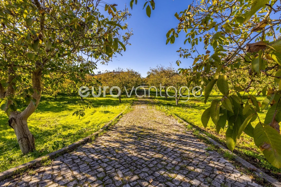 Moradia T6 para Venda em Marrazes e Barosa Foto 4