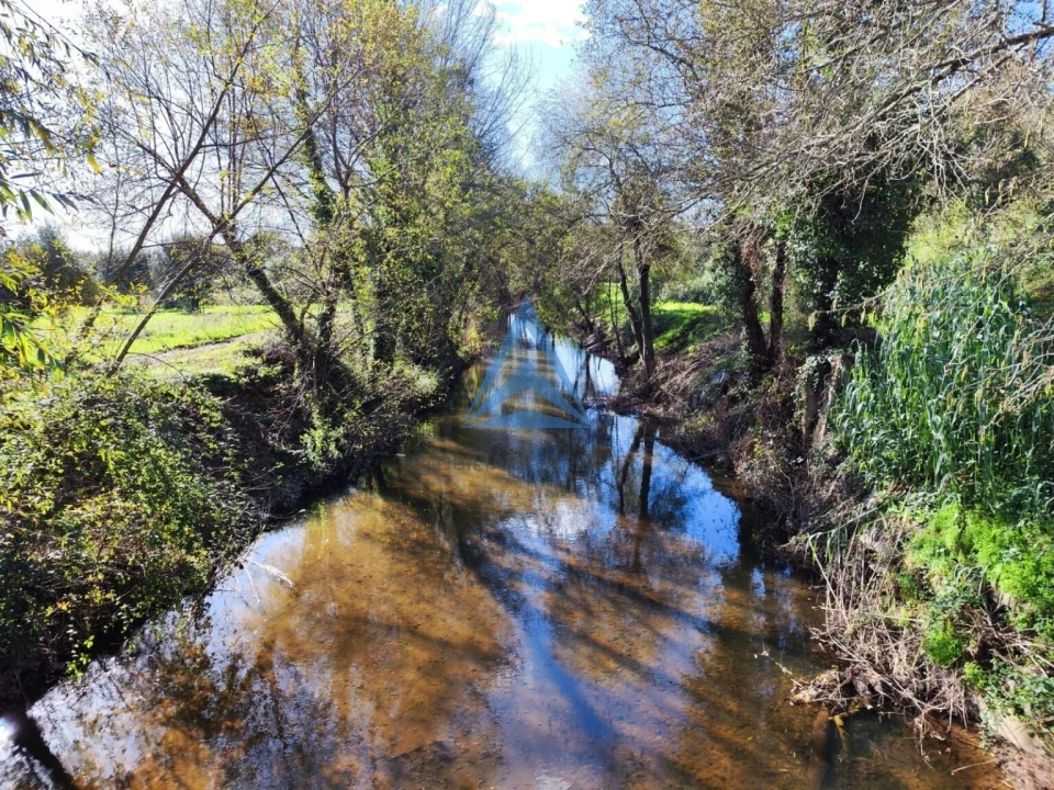 Terreno para Venda em Pombal Foto 12