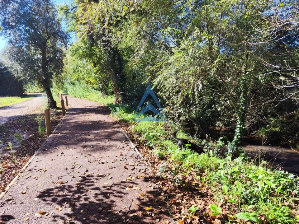 Terreno para Venda em Pombal Foto 14