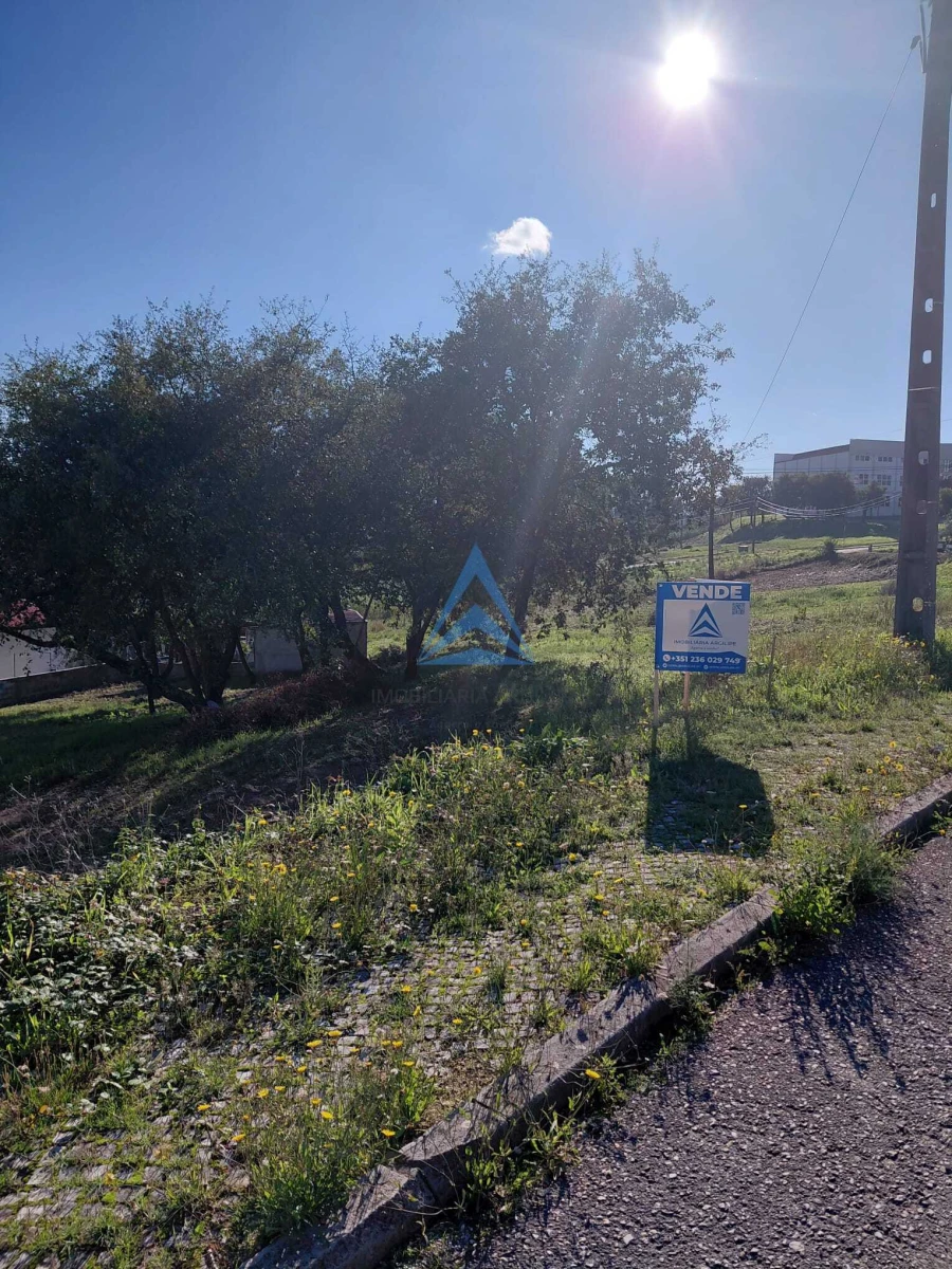 Terreno para Venda em Pombal Foto 4