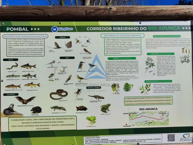 Terreno para Venda em Pombal Foto 11