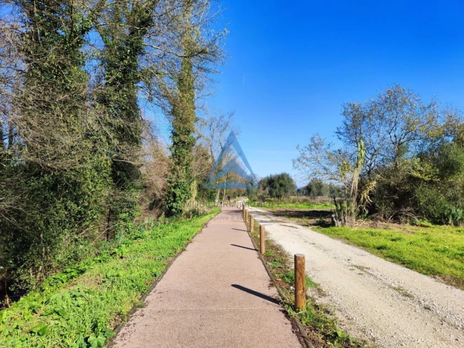 Terreno para Venda em Pombal Foto 10
