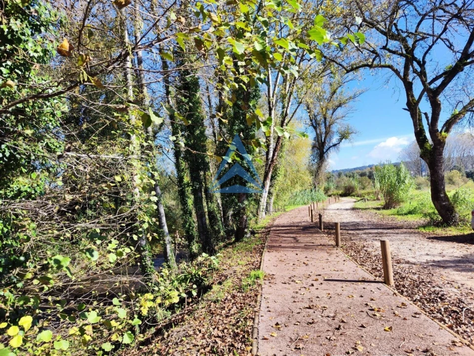 Terreno para Venda em Pombal Foto 15