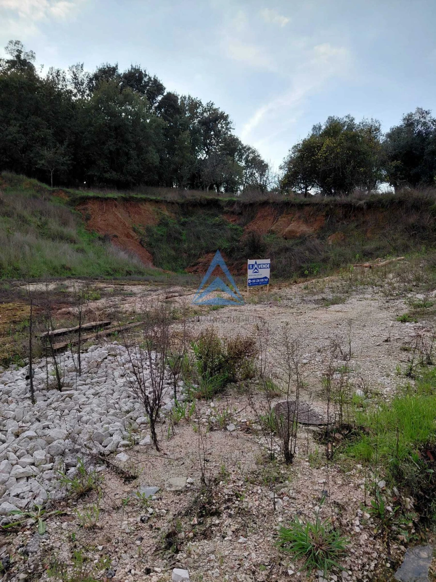 Terreno para Venda em Pombal Foto 3