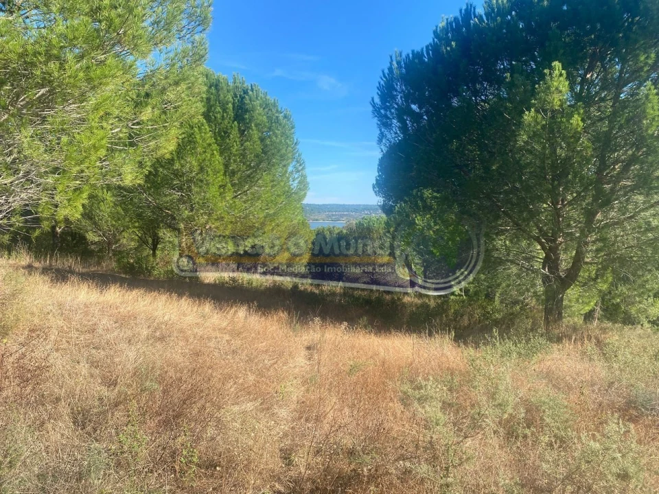 Terreno para Venda em Montargil Foto 5