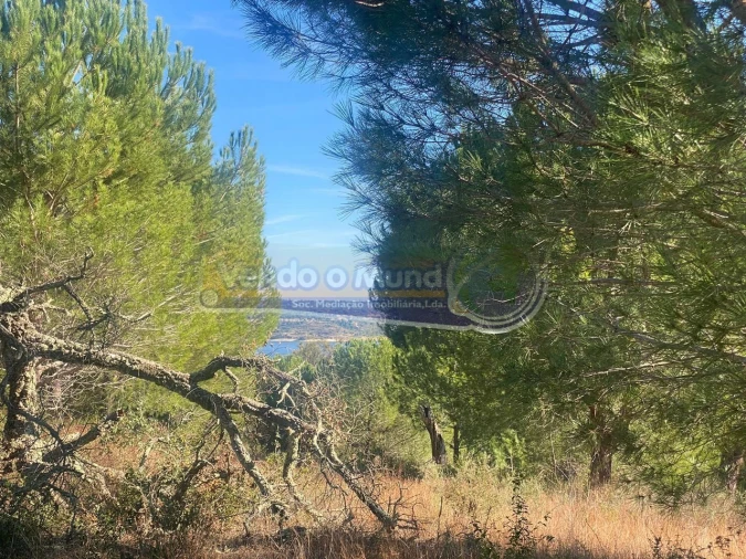 Terreno para Venda em Montargil Foto 7