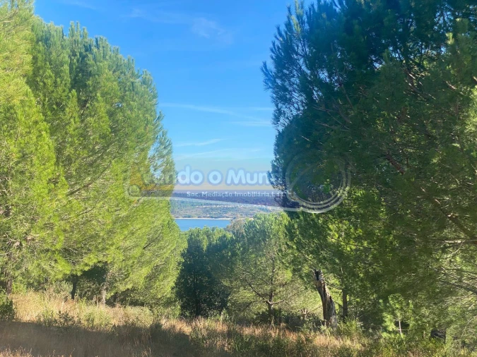 Terreno para Venda em Montargil