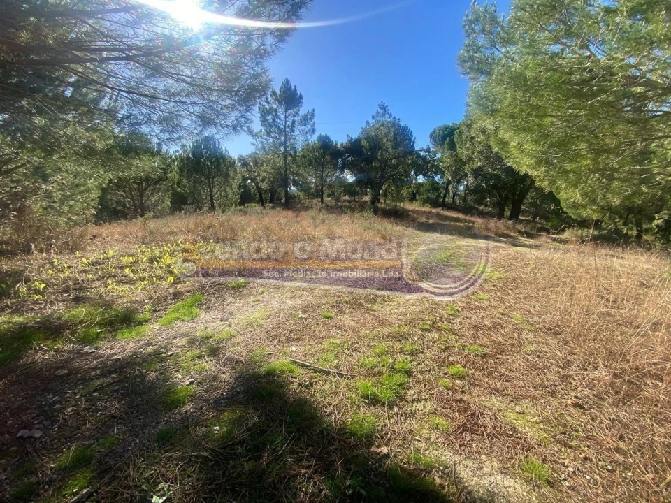 Terreno para Venda em Montargil Foto 4