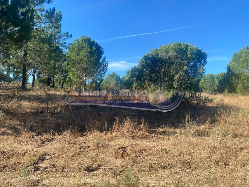 Terreno para Venda em Montargil Foto 6