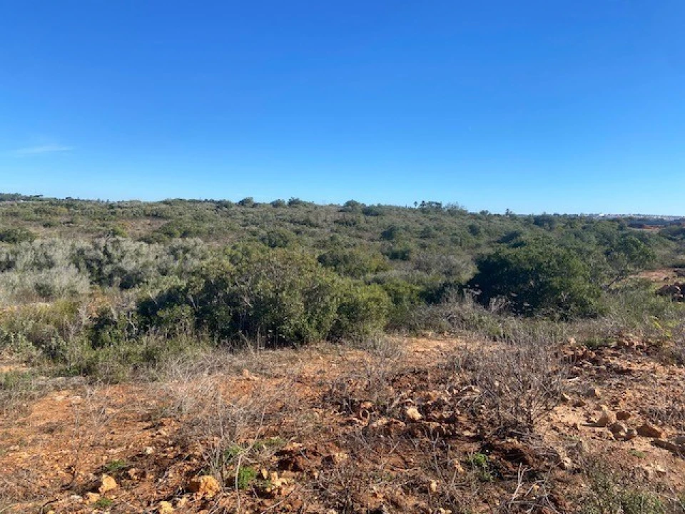 Terreno para Venda em Bensafrim e Barão de São João Foto 4