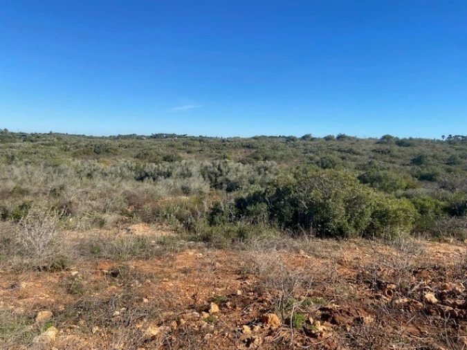 Terreno para Venda em Bensafrim e Barão de São João Foto 2