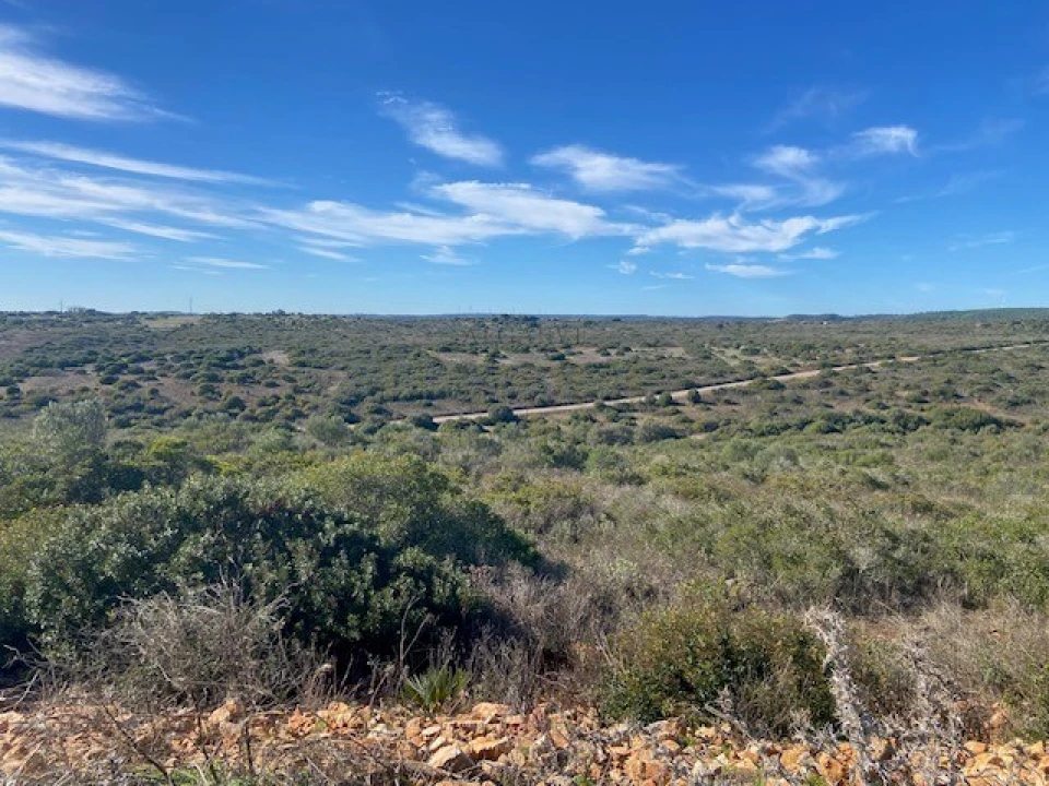 Terreno para Venda em Bensafrim e Barão de São João Foto 1
