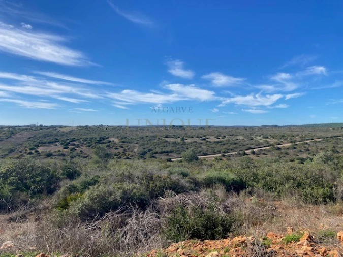 Terreno para Venda em Bensafrim e Barão de São João Foto 3