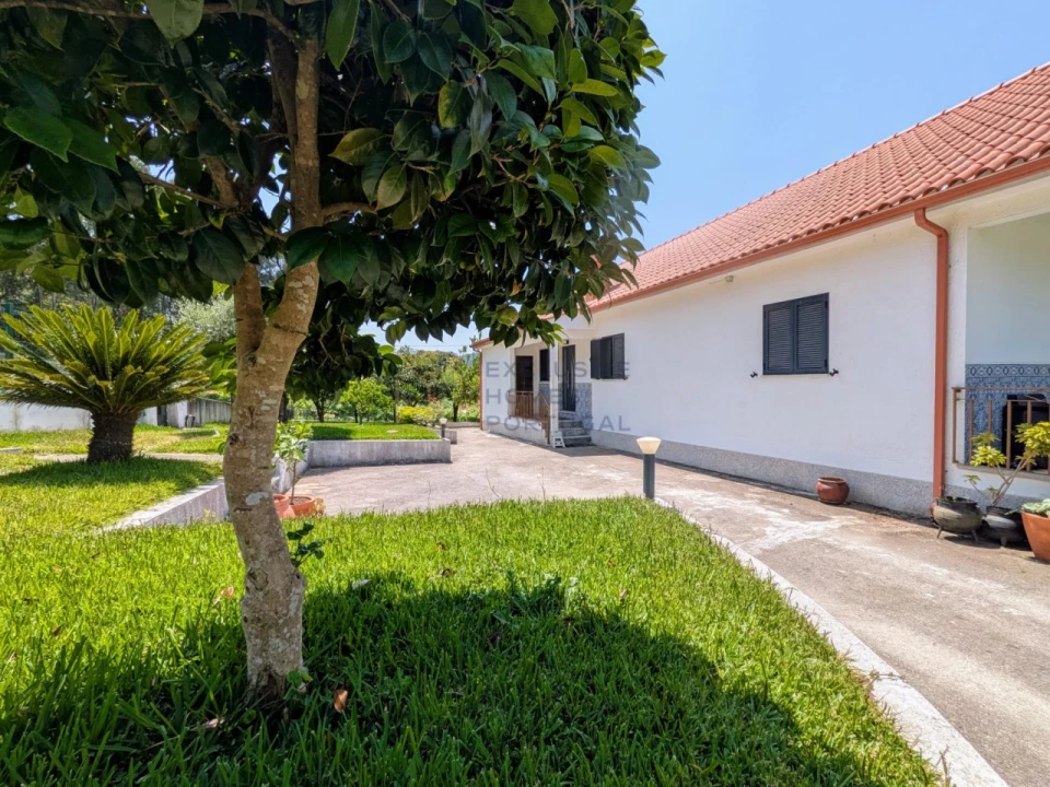 Moradia T4 para Arrendamento em Rebordões (Souto) Foto 12