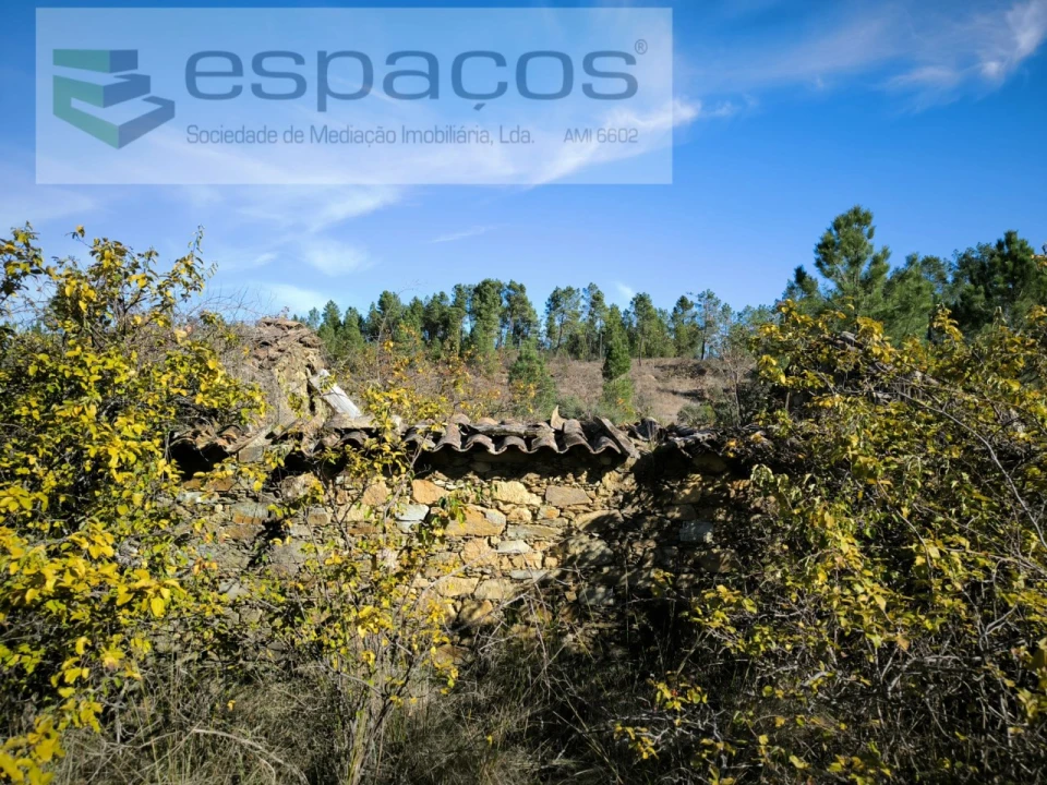 Quinta T1 para Venda em Sarzedas Foto 2