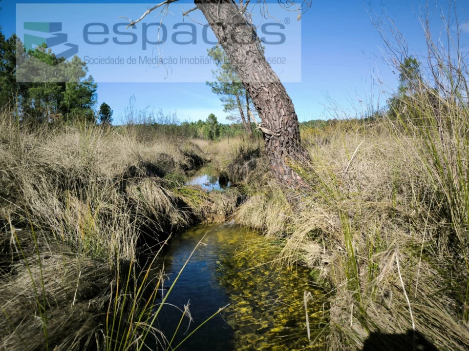 Quinta T1 para Venda em Sarzedas Foto 11
