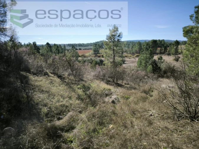 Quinta T1 para Venda em Sarzedas Foto 5