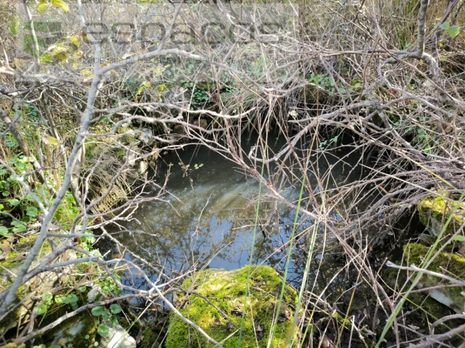 Quinta T1 para Venda em Sarzedas Foto 9