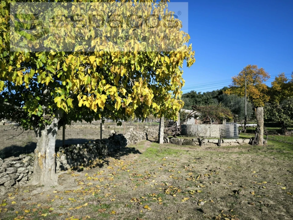 Quinta T1 para Venda em Escalos de Baixo e Mata Foto 10