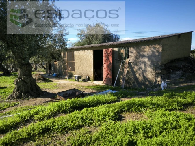 Quinta T1 para Venda em Escalos de Baixo e Mata Foto 4