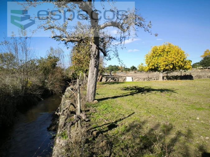 Quinta T1 para Venda em Escalos de Baixo e Mata Foto 14