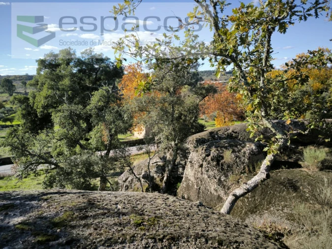 Quinta T1 para Venda em Escalos de Baixo e Mata Foto 16
