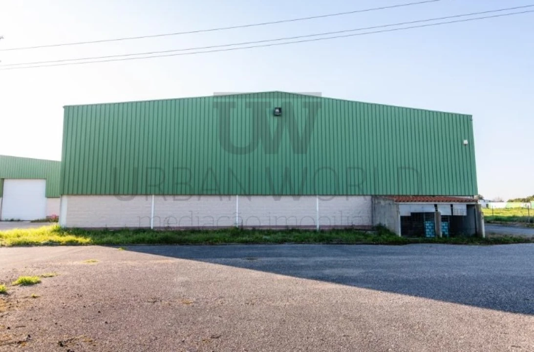 Armazém para Arrendamento em Benavente Foto 12