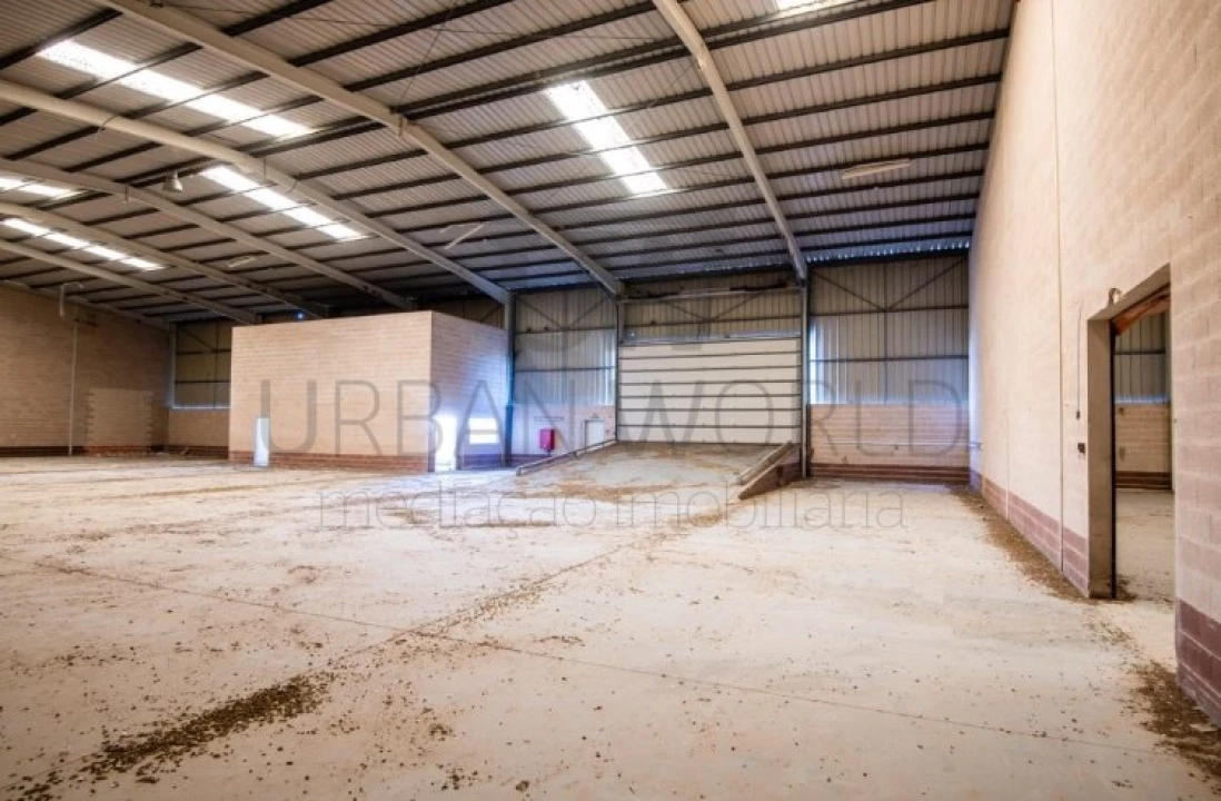 Armazém para Arrendamento em Benavente Foto 6