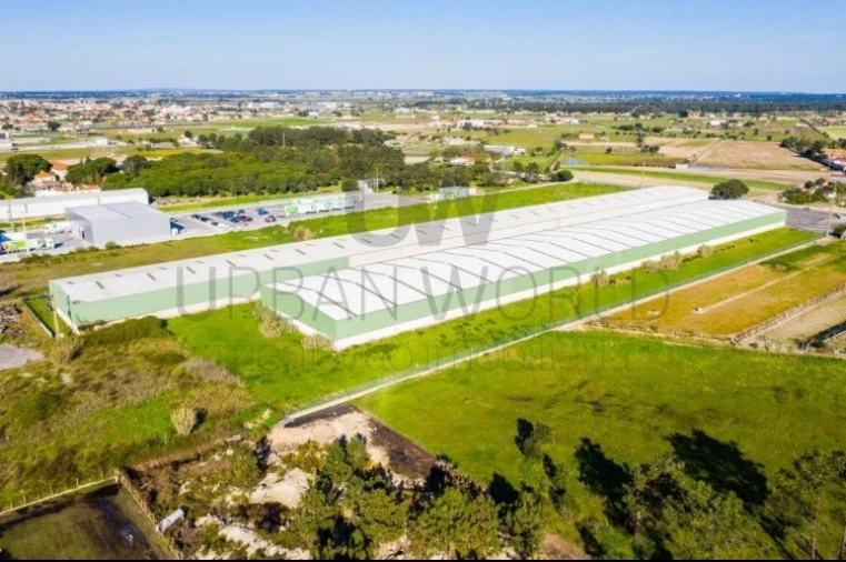 Armazém para Arrendamento em Benavente Foto 10