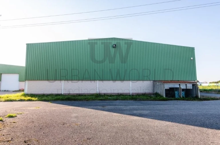 Armazém para Arrendamento em Benavente Foto 12