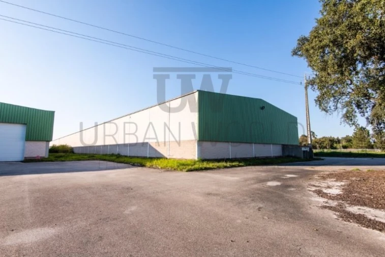 Armazém para Arrendamento em Benavente Foto 13