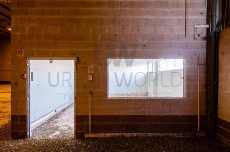 Armazém para Arrendamento em Benavente Foto 16