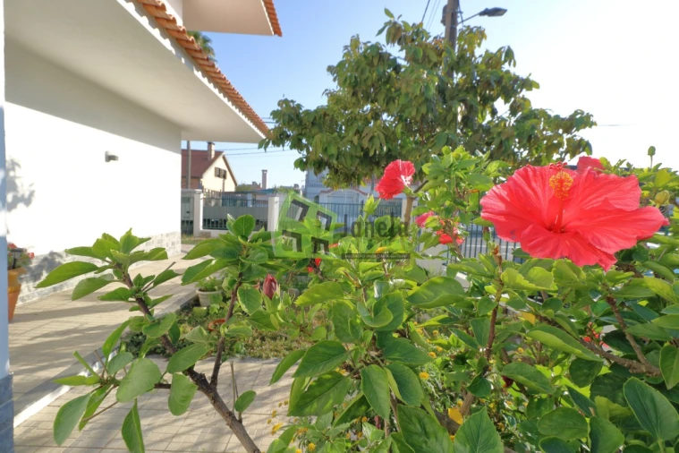 Moradia T5 para Venda em Fernao Ferro Foto 37