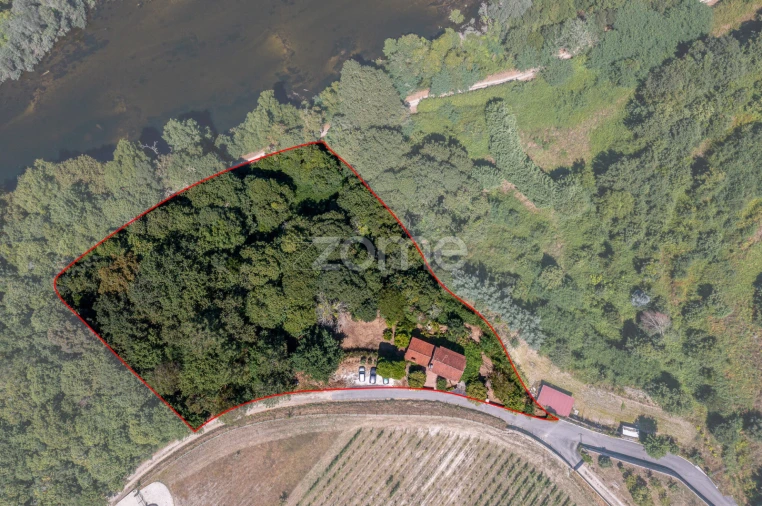 Moradia T2 para Venda em Ribeira Foto 4