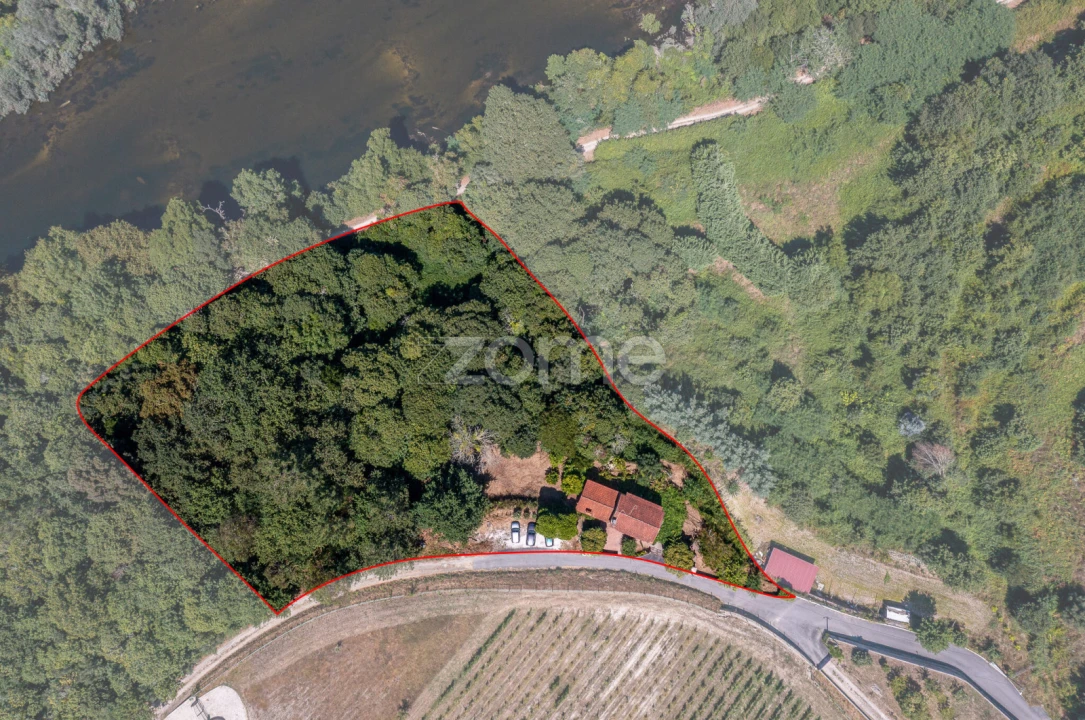 Moradia T2 para Venda em Ribeira Foto 4