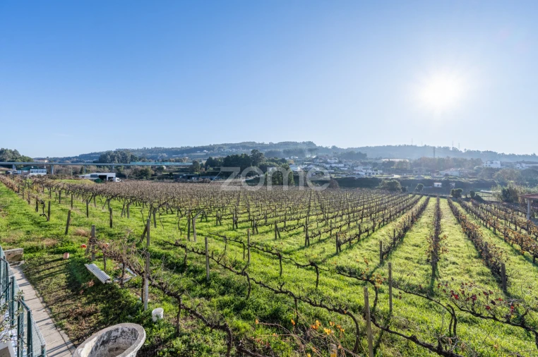 Quinta T4 para Venda em Penafiel Foto 66