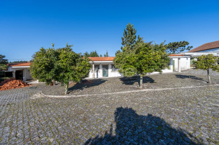 Quinta T4 para Venda em Penafiel Foto 60