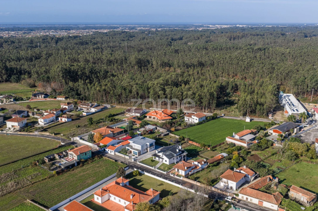 Moradia T4 para Venda em Loureiro Foto 46