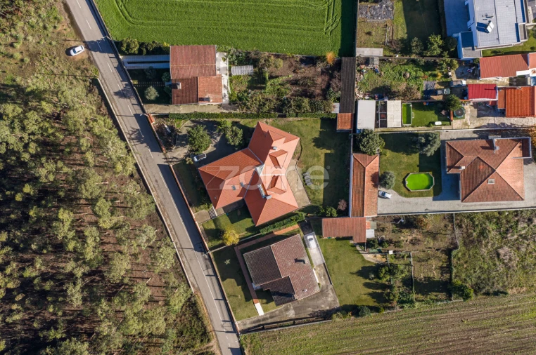 Moradia T4 para Venda em Loureiro Foto 45