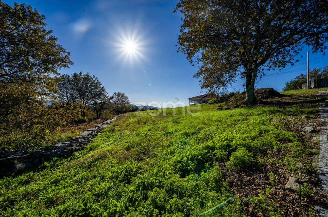 Terreno para Venda em Campos e Louredo Foto 8