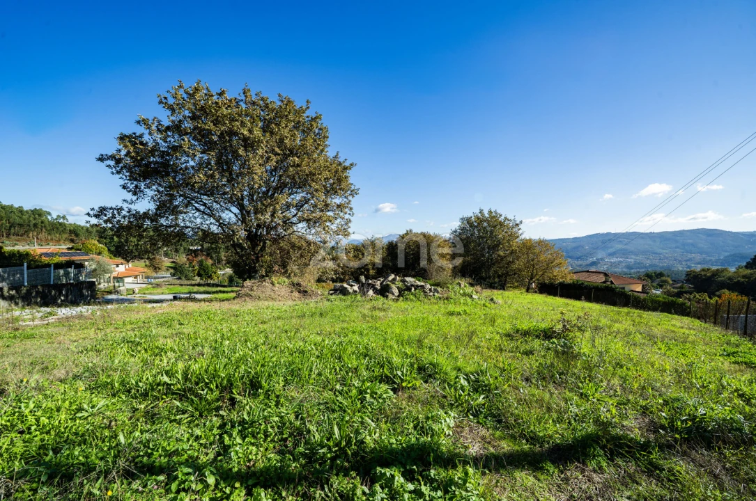 Terreno para Venda em Campos e Louredo Foto 12