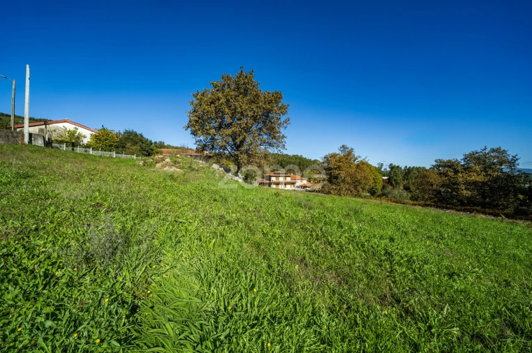 Terreno para Venda em Campos e Louredo Foto 11