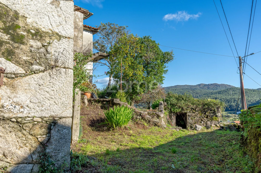 Moradia T2 para Venda em Perre Foto 16