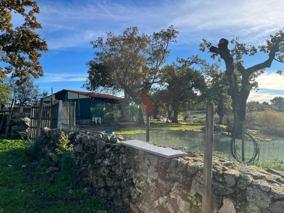 Quinta T7 para Venda em São Salvador da Aramenha Foto 24