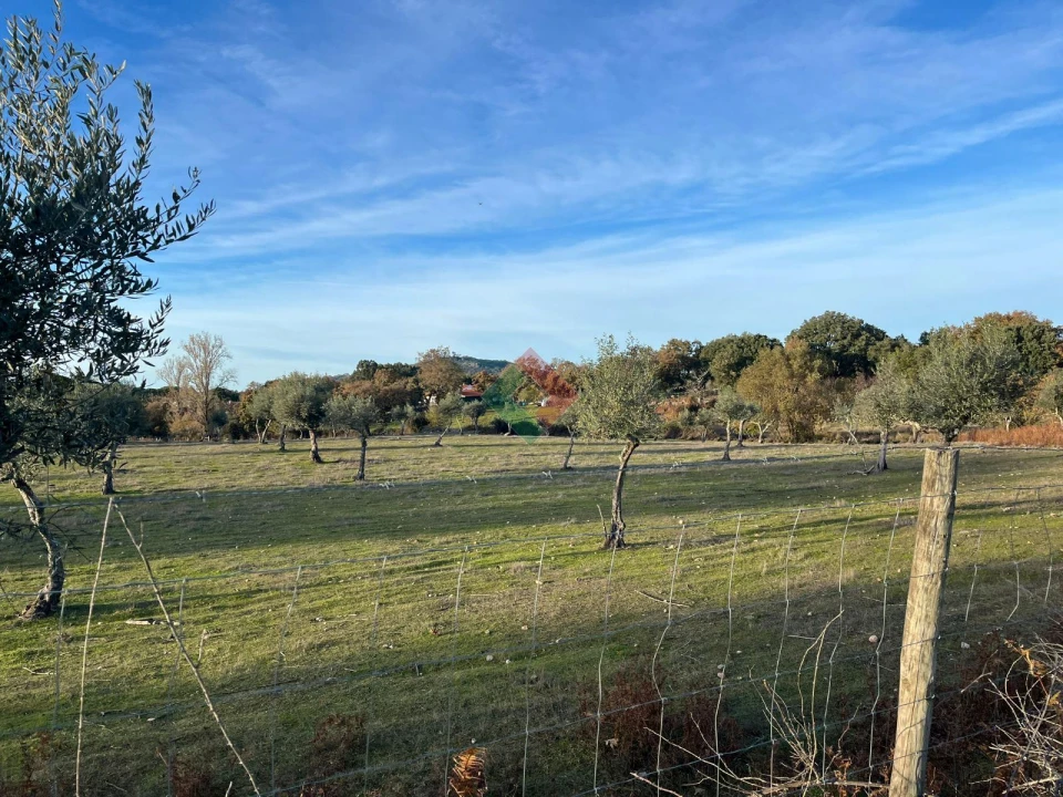 Quinta T7 para Venda em São Salvador da Aramenha Foto 28