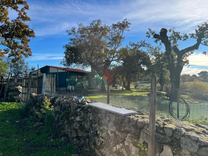 Quinta T7 para Venda em São Salvador da Aramenha Foto 24
