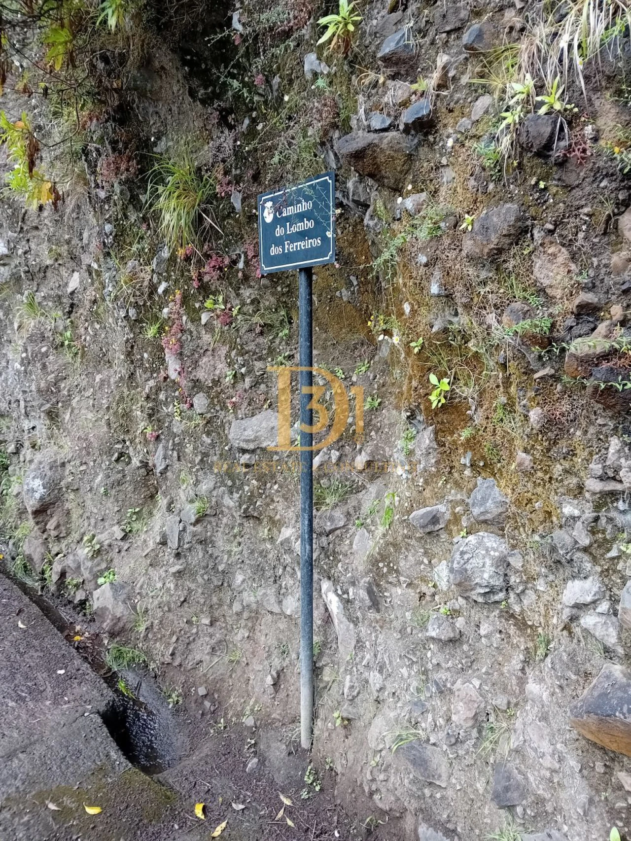 Moradia T2 para Venda em São Vicente Foto 5